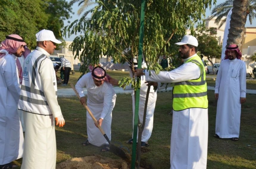 أهمية مشروعات التشجير في السعودية - اليوم