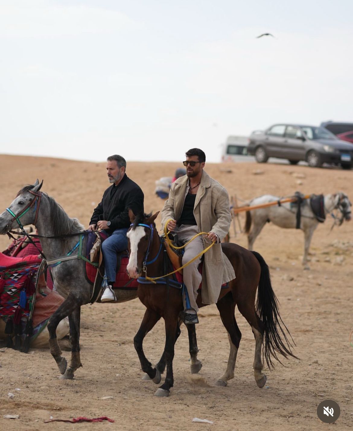 جان يامان يمتطى حصان أمام الأهرامات