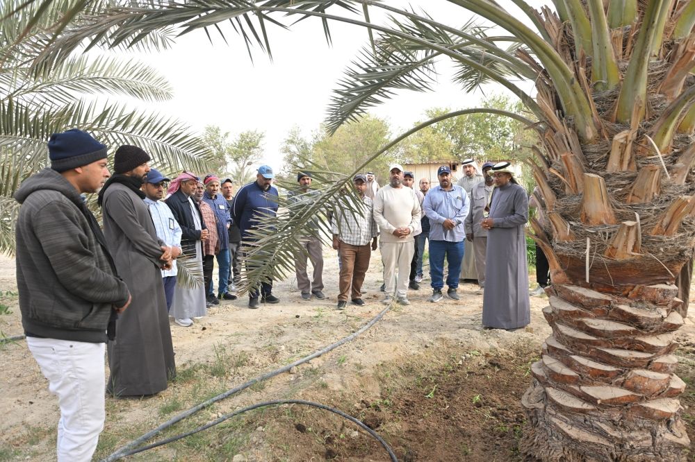 الأحساء.. 450 طالبًا يتعرفون على أساليب الزراعة العضوية خلال يناير - اليوم