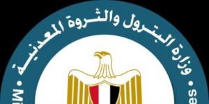 وزير البترول ينتقل لموقع حادث كسر خط نقل البوتاجاز "مسطرد-الهايكستب" ويوجه بسرعة تنفيذ الخطط البديلة - عرب فايف