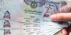 سعر الدرهم الإماراتي مقابل الجنيه المصري اليوم الأربعاء 8 يناير 2025 - عرب فايف