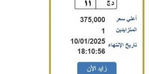 سعرها وصل 375 ألف جنيه.. خطوات التزايد على لوحة سيارة مميزة (رابط) - عرب فايف