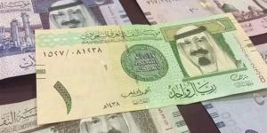 سعر الريال السعودى اليوم الجمعة 10 يناير 2025 فى مصر مقابل الجنيه - عرب فايف