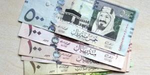 سعر الريال السعودي اليوم الأربعاء 15 يناير 2025 مقابل الجنيه المصري في البنوك والسوق السوداء - عرب فايف