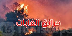 تونس: الحرائق تُتلف حوالي 56 ألف هكتار من النسيج الغابي بين 2016 و2023 - عرب فايف