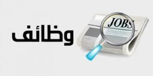 بمرتبات تصل إلى 3600 ريال.. تفاصيل وظائف المصريين في السعودية 2025 - عرب فايف