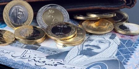 سعر الريال السعودي مقابل الجنيه المصري اليوم الإثنين 13 يناير 2025 - عرب فايف