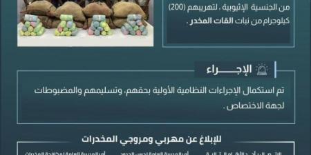 حرس الحدود بعسير يقبض على (8) مخالفين لتهريبهم (200) كيلوجرام من القات المخدر - عرب فايف