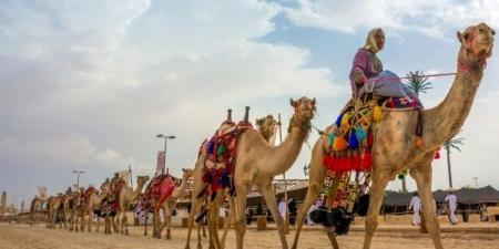 مهرجان سنام في الطائف - عرب فايف