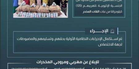 حرس الحدود بعسير يقبض على 9مخالفين لنظام أمن الحدود لتهريبهم 120 كيلوجرامًا من نبات القات المخدر - عرب فايف