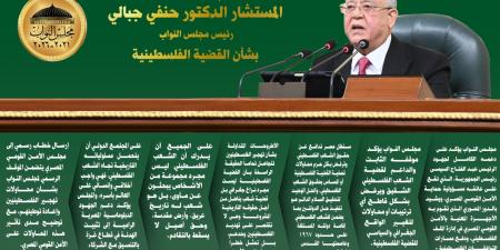 قضية شعب ينضال.. أهم تصريحات رئيس مجلس النواب بشأن القضية الفلسطينية ورفض التهجير.. انفو - عرب فايف