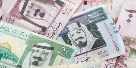 سعر الريال السعودي اليوم الثلاثاء 4-2-2025أمام الجنيه المصري في البنوك - عرب فايف