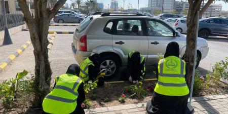 طالبات الشرقية يشاركون في "صيتاثون" لتعزيز المبادرات المجتمعية - عرب فايف