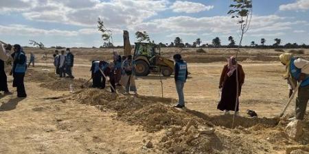 زراعة الطرق المؤدية لمداخل محميتي قارون و وادى الريان بالفيوم - عرب فايف