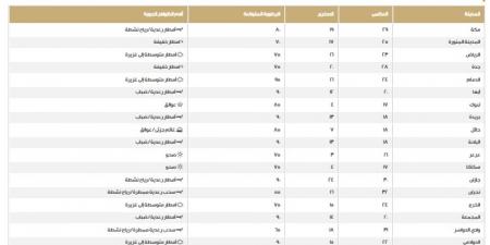 الطقس في السعودية.. اعرف درجات الحرارة على المناطق اليوم الخميس - عرب فايف