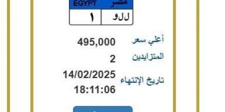 لوحة معدنية مميزة وصل سعرها 495 ألف جنيه.. آخر موعد لانتهاء المزايدة - عرب فايف