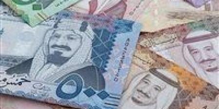 سعر الريال السعودي والدينار الكويتي اليوم الاثنين في مصر - عرب فايف