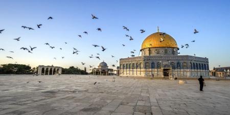 أوقاف القدس: مظلات في المسجد الأقصى لحماية المصلين من البرد - عرب فايف