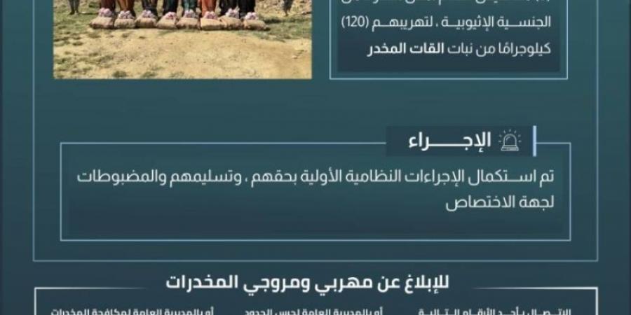 حرس الحدود بجازان يقبض على (8) مخالفين لتهريبهم (120) كيلوجرامًا من القات المخدر - عرب فايف