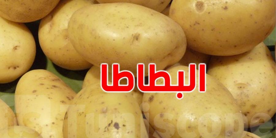 تقديرات بإنتاج 13664 طنا من البطاطا في قفصة - عرب فايف