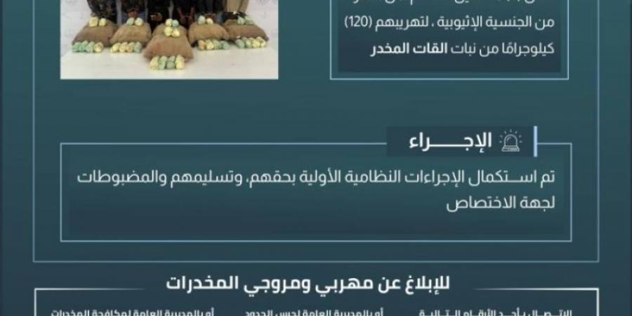 حرس الحدود بعسير يقبض على (6) مخالفين لتهريبهم (120) كيلوجرامًا من القات المخدر - عرب فايف