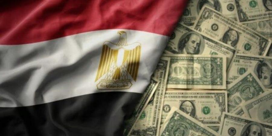 11.889 مليار دولار زيادة في احتياطيات النقد الأجنبي لدي مصر آخر 12 شهر - عرب فايف