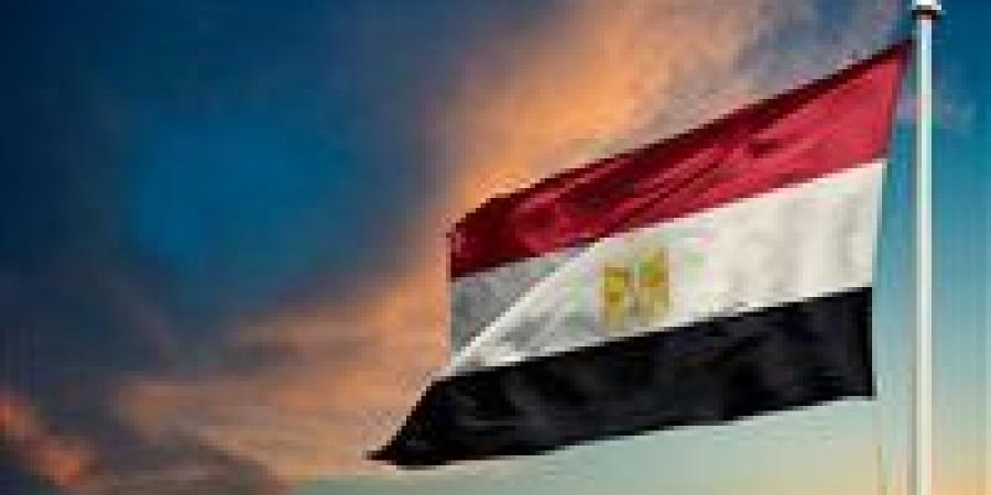 عاجل|مصر تدين الهجوم الذي استهدف القصر الرئاسي في تشاد - عرب فايف