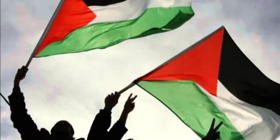 افتتاح معرض صور حول المقاومة الفلسطينية والعربية ضد الاحتلال بقاعة الأخبار بالعاصمة - عرب فايف