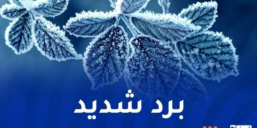 تساقط أمطار على هذه المناطق اليوم الجمعة - عرب فايف