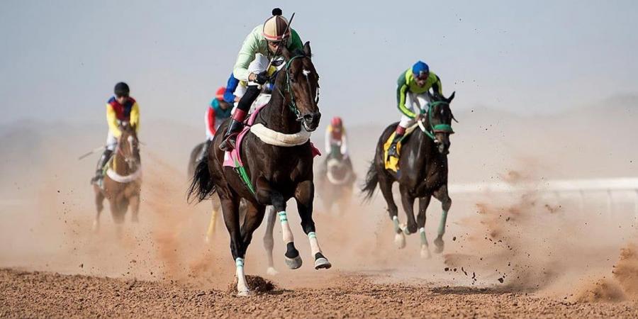 ميدان سباقات الخيل بنجران يُنظم اليوم حفل سباقه الرابع للموسم الحالي - عرب فايف