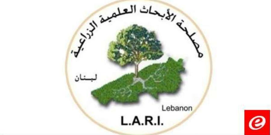 مصلحة الابحاث العلمية الزراعية "Lari" نشرت إرشادات للمزارعين بخصوص طقس الأيام المقبلة - عرب فايف