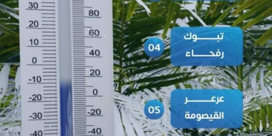 2 مئوية.. طريف والقريات وحائل تسجل أقل درجة حرارة في المملكة - عرب فايف