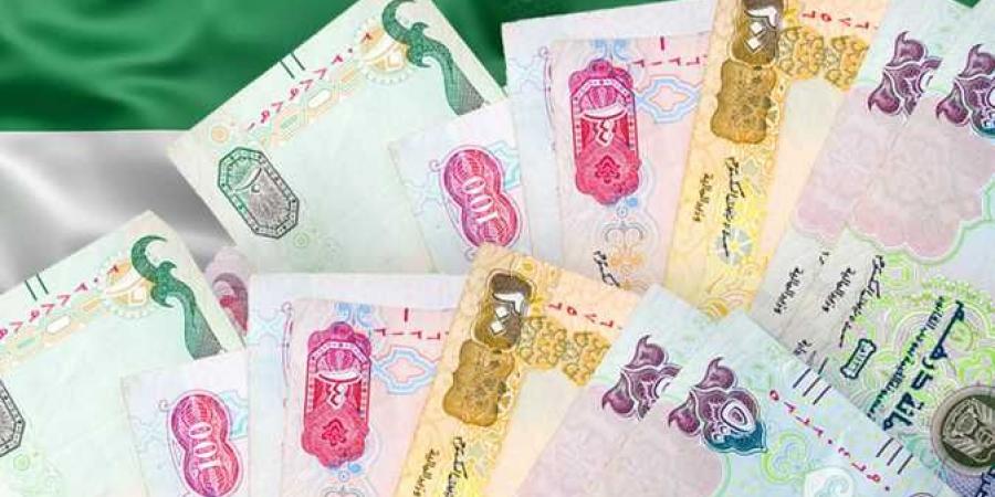 سعر الدرهم الإماراتي اليوم الثلاثاء 14-1-2025 - عرب فايف