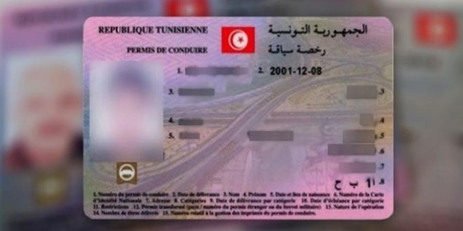 عاجل/ بشرى سارّة للتونسيين المقيمين بإيطاليا بخصوص رُخص السياقة - عرب فايف