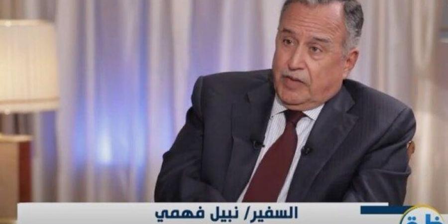 «السفير نبيل فهمي»: ترامب يريد إنهاء القضية الفلسطينية عبر حل الدولتين - عرب فايف