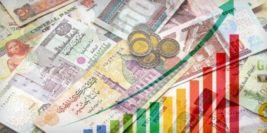 صندوق النقد الدولى: نتوقع نمو الاقتصاد المصرى 4.1% خلال 2025 - عرب فايف