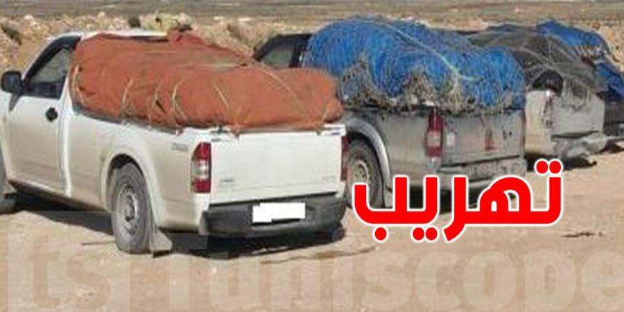 في 3 ولايات : إحباط عمليات تهريب تجاوزت قيمتها قرابة 2.5 مليون دينار - عرب فايف