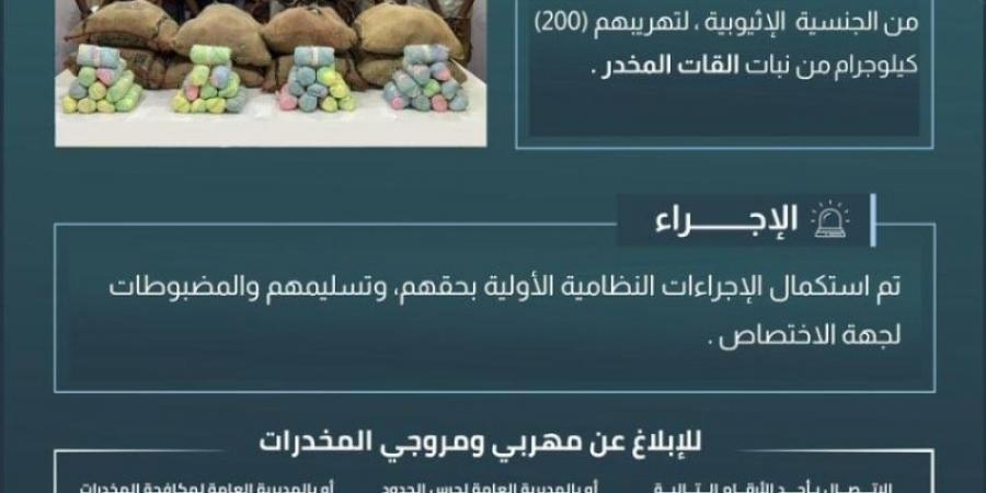 حرس الحدود بعسير يقبض على (8) مخالفين لتهريبهم (200) كيلوجرام من القات المخدر - عرب فايف