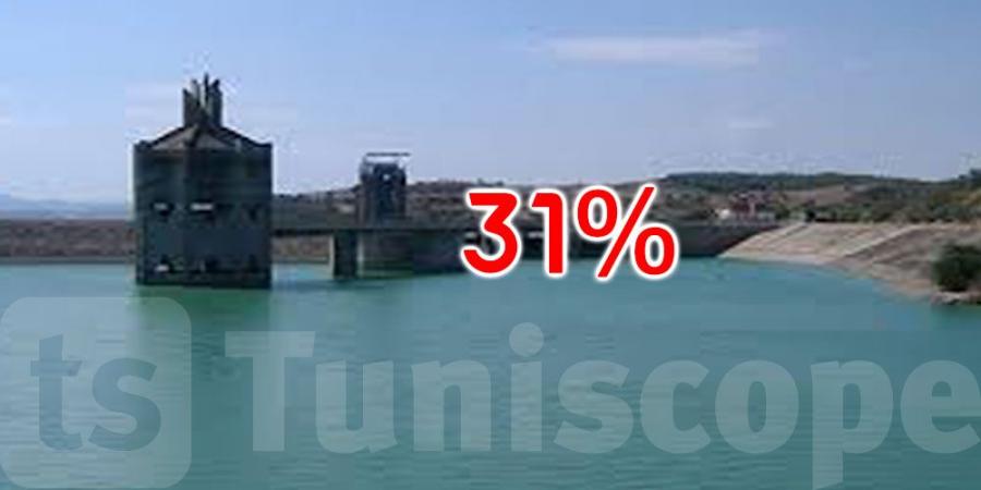 ارتفاع نسبة امتلاء السدود إلى 31،54% - عرب فايف