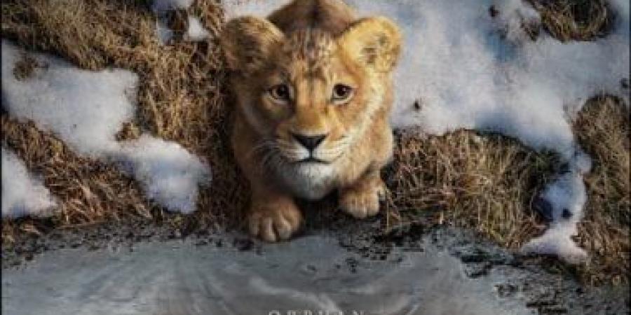 فيلم Mufasa: The Lion King يحقق 579 مليون دولار عالميًا منذ ديسمبر 2024 - عرب فايف