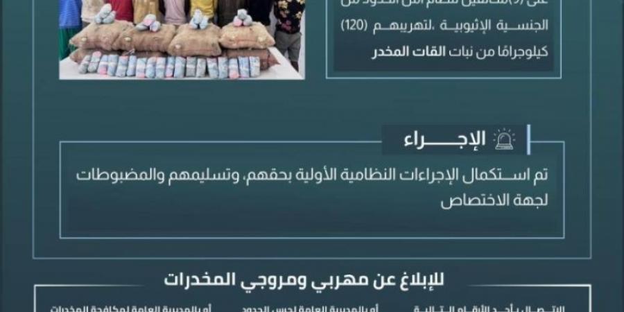 حرس الحدود بعسير يقبض على 9مخالفين لنظام أمن الحدود لتهريبهم 120 كيلوجرامًا من نبات القات المخدر - عرب فايف