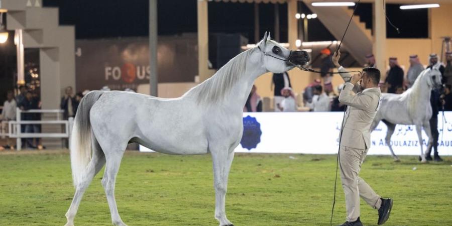 انطلاق مهرجان الأمير سلطان بن عبدالعزيز العالمي للجواد العربي - عرب فايف