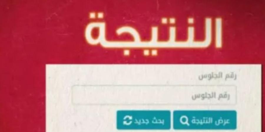 بالرابط.. نتيجة الشهادة الإعدادية بالقليوبية فور ظهورها - عرب فايف