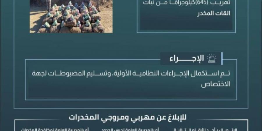 حرس الحدود بعسير يحبط تهريب (645) كيلوجرامًا من القات المخدر - عرب فايف