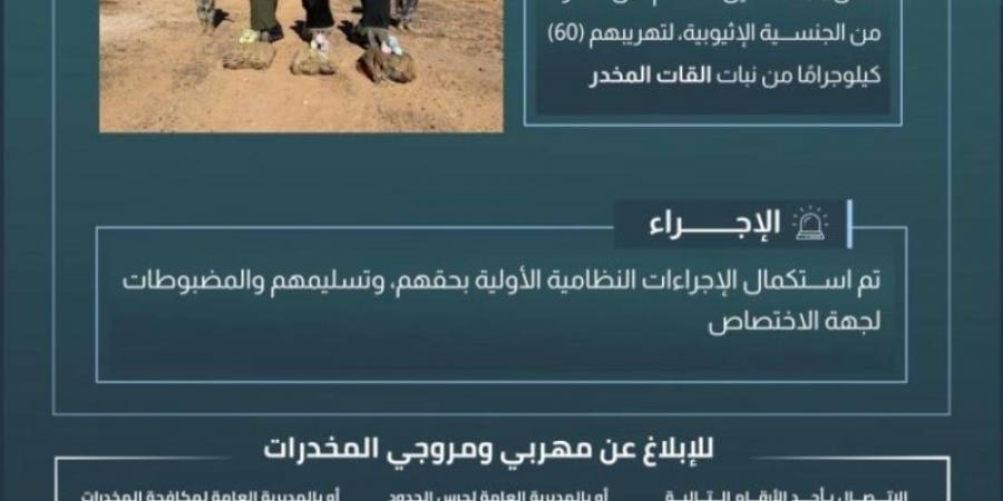 حرس الحدود بعسير يقبض على 3 مخالفين لنظام أمن الحدود لتهريبهم 60 كلجم من نبات القات المخدر - عرب فايف