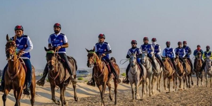 «الإسطبلات الخاصة» يدشن مهرجان سلطان بن زايد للقدرة - عرب فايف