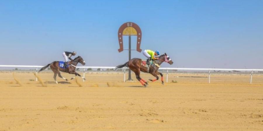 ميدان الفروسية بالأحساء ينظم شوط الفارسات لسباق السرعة - عرب فايف