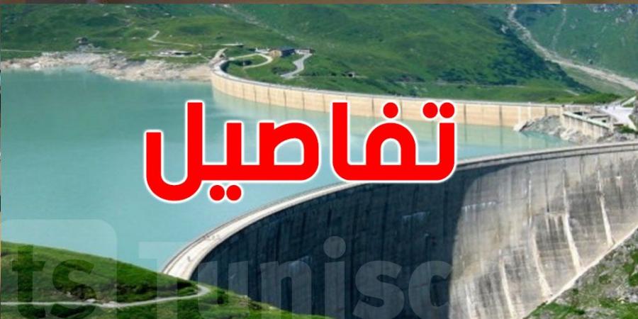 ارتفاع نسبة امتلاء السدود التونسية بفضل الأمطار الأخيرة - عرب فايف