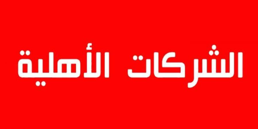 وزير التشغيل: حصول 42 شركة أهلية على التمويل في حدود اعتمادات جملية ناهزت 12 مليون دينار - عرب فايف