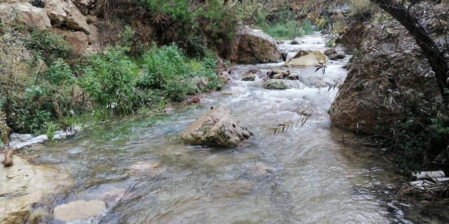 مطالب بإدراج راجب ضمن المدن السياحية العالمية - عرب فايف